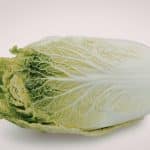 temps de cuisson chou vert cocotte minute seb le guide complet 1