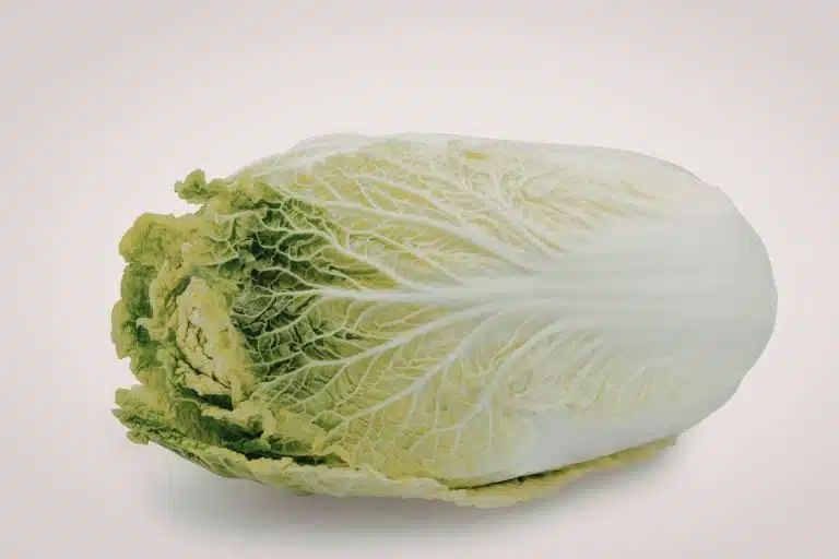 temps de cuisson chou vert cocotte minute seb le guide complet 1