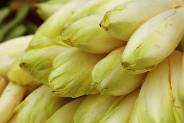 temps de cuisson endives a la vapeur guide complet 2025 pour des legumes parfaits 1