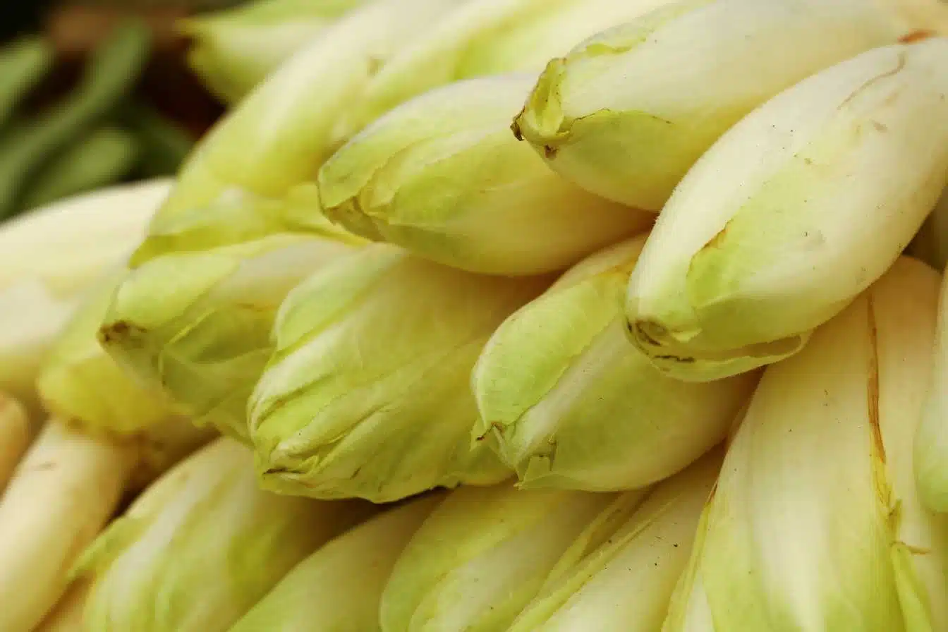 temps de cuisson endives a la vapeur guide complet 2025 pour des legumes parfaits 1
