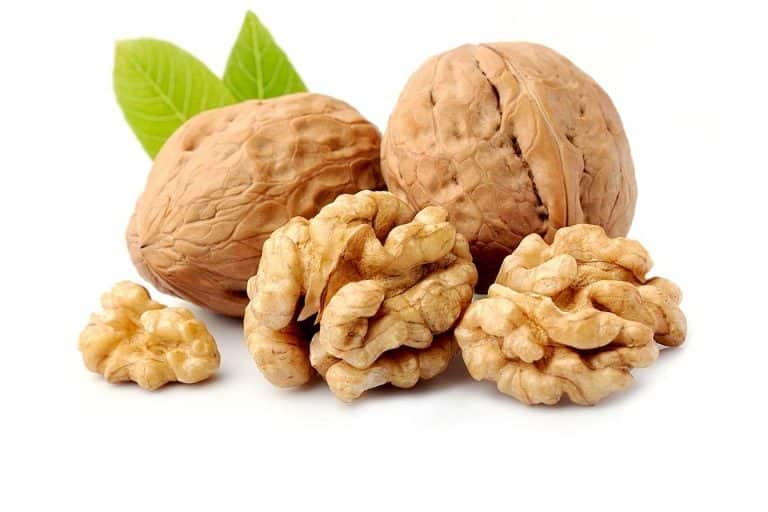 vin de noix recette grand mere 1